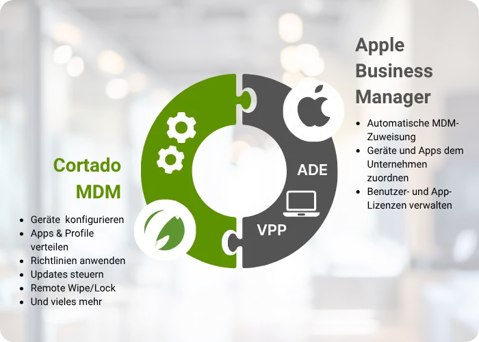 Apple Business Manager Integration Interface